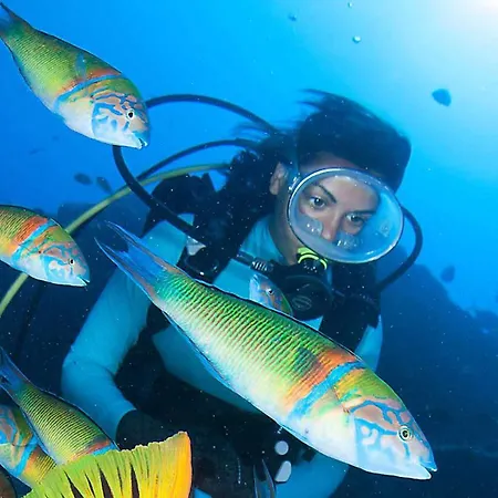 Апартаменты Myrtus - House With Sea View And Garden Фуншал